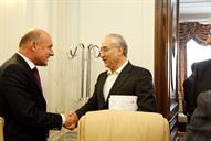 دیدار امیر حسین زمانی نیا با دیتر هالردیتر هالر، مدیر بخش امور اقتصادی و توسعه پایدار وزارت خارجه آلمان14 بهمن 