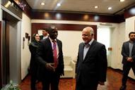 دیدار بیژن زنگنه وزیر نفت با امانوئل بواه وزیر نفت و انرژی غنا 25 بهمن ماه 94 (5)