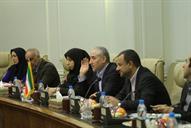 دیدار فیاض حسن نعمه معاون وزیر نفت عراق با امیر حسین زمانی نیا معاون بین الملل نفت -19-12-94 (15)